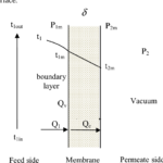 Mass transfer coefficient in hollow-fiber membrane module