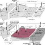 Pelagic Carbonate