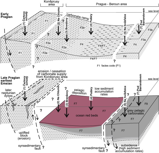 Pelagic Carbonate