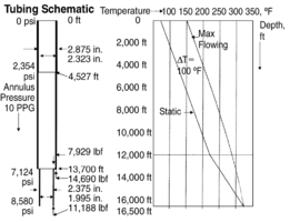 Tubing Selection, Design, and Installation