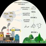 Importance of Biogenic Activity