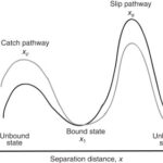 Some Considerations in Modeling Complex Physical Processes