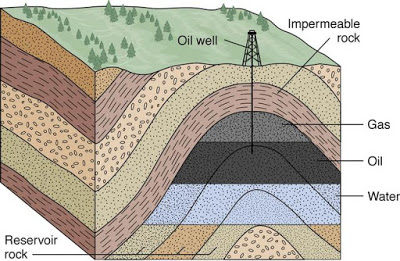 Petroleum Reservoir
