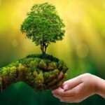 Why is conservation of natural resources important?