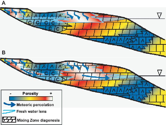 Meteoric Water Flow and Diagenesis