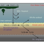 Breakdown of Organic Matter
