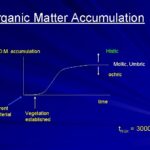 Accumulations of Organic Matter