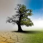 Introduction to Plant Management and Economics