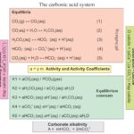 Geochemistry of Carbonate Minerals
