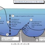 Sedimentary Geochemistry
