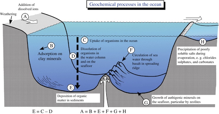 Sedimentary Geochemistry