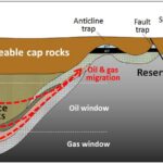 Formation of Source Rocks