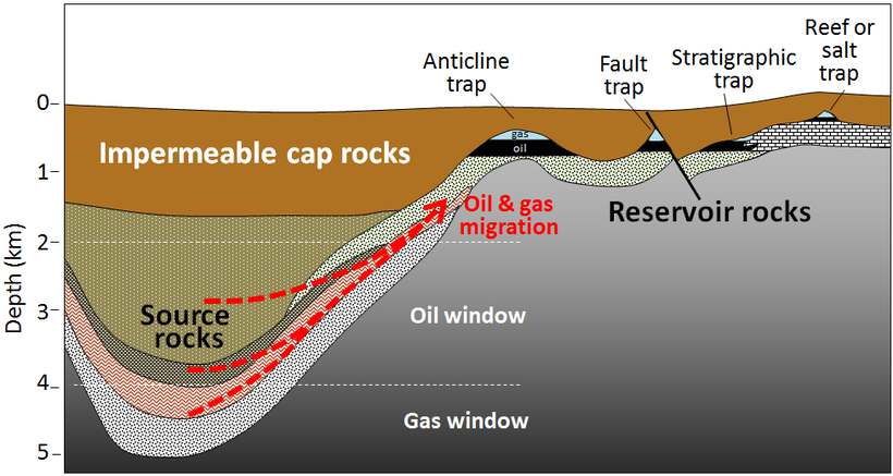 Formation of Source Rocks
