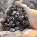 Coal and Petroleum